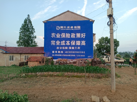 紫云墙体广告为何受追捧?