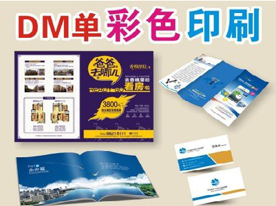 紫云单页印刷，色彩搭配简单。